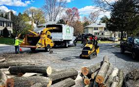 Best Emergency Tree Removal  in Marillo, CA
