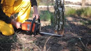 Best Aeration Services  in Marillo, CA